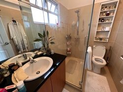 Shamrock Park (D10), Semi-Detached #390643911